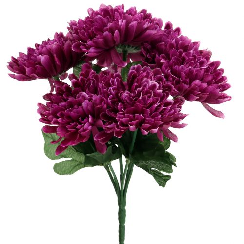 Floristik24 Chrysanthemum aubergine met 7 bloemen
