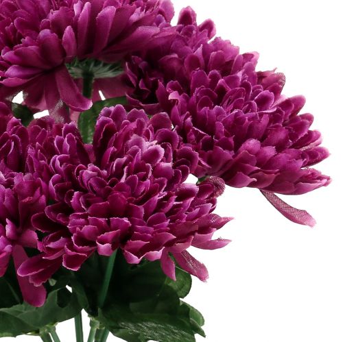 Floristik24 Chrysanthemum aubergine met 7 bloemen