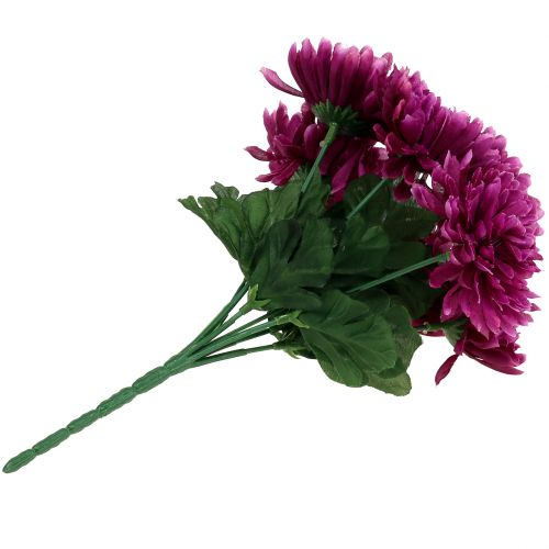 Floristik24 Chrysanthemum aubergine met 7 bloemen