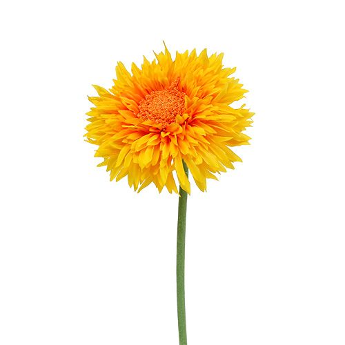 Floristik24 Chrysant Teddy 63cm Goudgeel