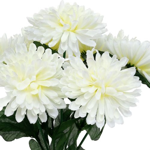 Floristik24 Chrysanthemum wit met 7 bloemen