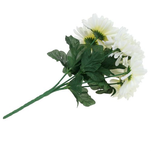 Floristik24 Chrysanthemum wit met 7 bloemen