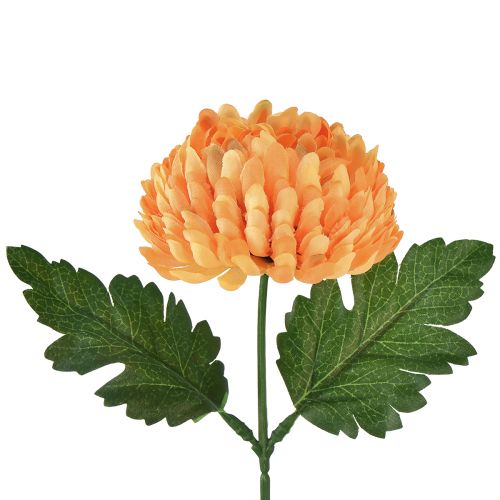 Chrysant oranje Ø7cm L18cm 1 st