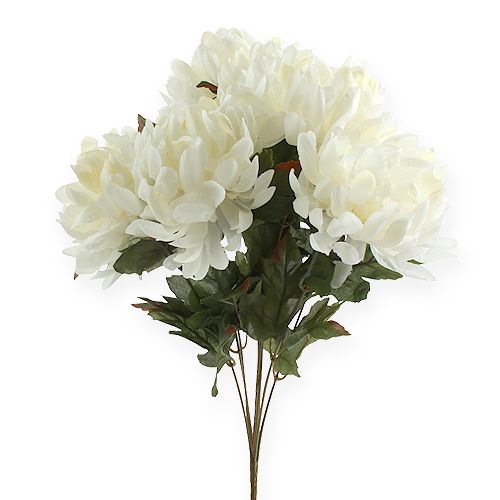 Floristik24 Chrysanthemum bush cream 47cm 2st