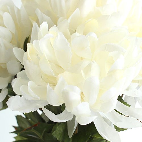 Floristik24 Chrysanthemum bush cream 47cm 2st