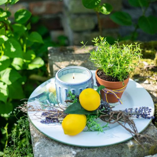 Floristik24 Citronellakaars in pot geurkaars citroen Ø10,5cm H8cm
