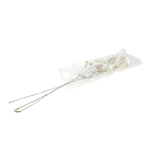 Floristik24 Clematis tak wit gevlokt 62cm 3st