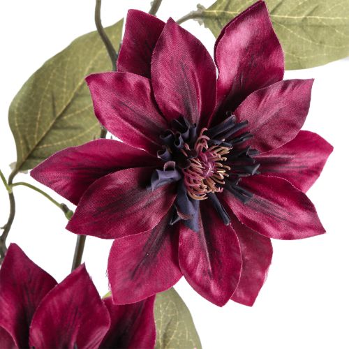 Artikel Clematis kunst 3 bloemen kunstbloemen Bordeaux 81cm 2 stuks