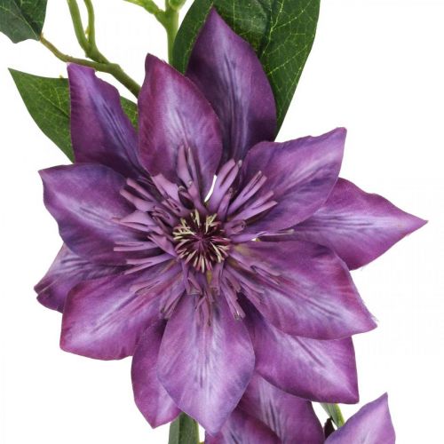 Floristik24 Clematis kunst, zijden bloem, decoratieve tak met clematis bloemen violet L84cm