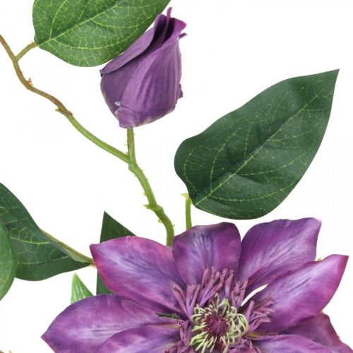 Floristik24 Clematis kunst, zijden bloem, decoratieve tak met clematis bloemen violet L84cm