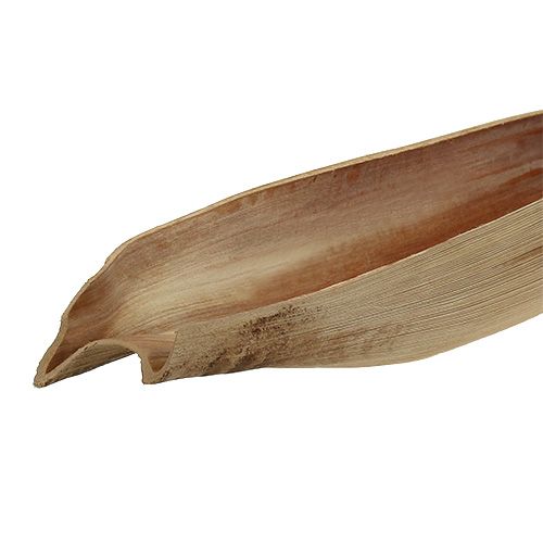 Floristik24 Kokosnoot palmblad 60-80cm natuurlijk