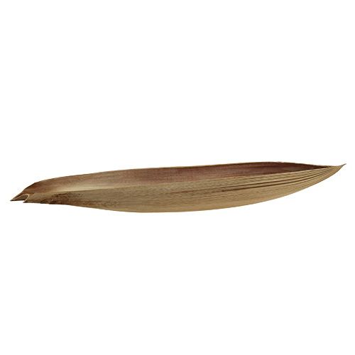 Floristik24 Kokosnoot palmblad 60-80cm natuurlijk