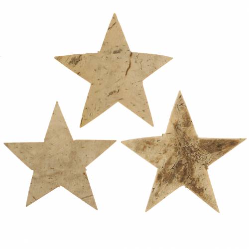 Floristik24 Coconut star nature 5cm 50st Kerstversiering tafeldecoratie