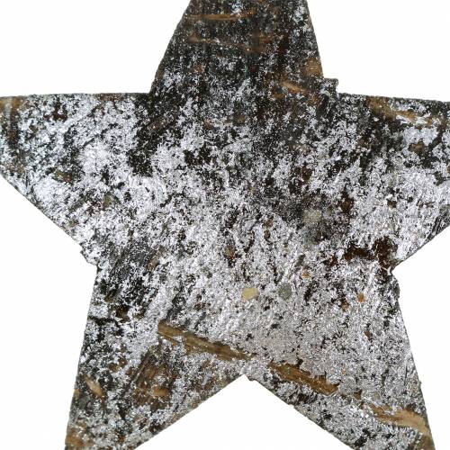 Floristik24 Kokosster zilver 5cm 50st. Tafeldecoratie zilver Advent decoratie sterren
