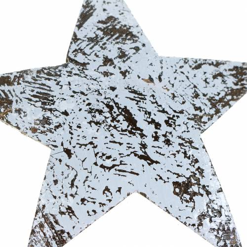 Artikel Kokosster white washed 10cm 20 st
