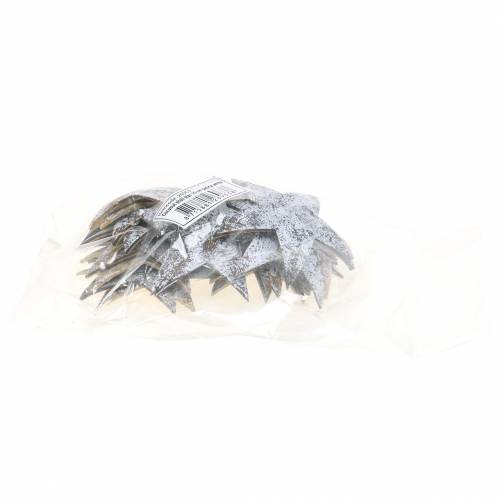 Artikel Kokosster white washed 10cm 20 st