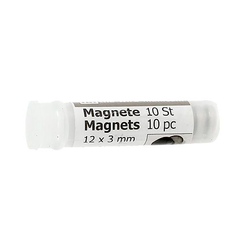 Artikel Corsagemagneet 12 x 3 mm 10 st
