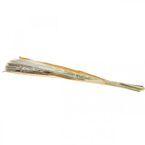 Artikel Gedroogde grassen Pampasgras natuur bos 80cm 100g