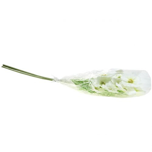 Floristik24 Cosmea wit 77cm 3st