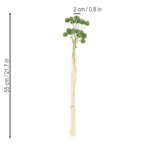 Artikel Gedroogde Craspedia-bloemenbollen voor stijlvolle herfstdecoraties, 55 cm, 20 stuks