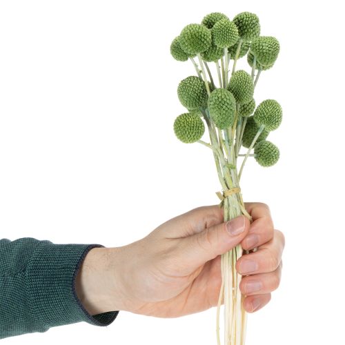Artikel Gedroogde Craspedia-bloemenbollen voor stijlvolle herfstdecoraties, 55 cm, 20 stuks