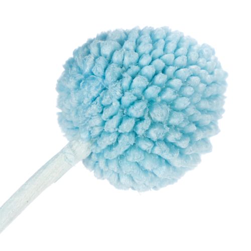 Artikel Decoratie met gedroogde Craspedia-bloemen voor in een vaas, minimalistische stijl, langdurige zomerdecoratie, 55 cm, 20 stuks