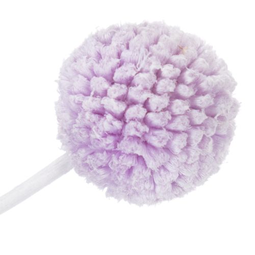 Artikel Craspedia gedroogde bloemen voor moderne tafeldecoratie in huis, 55 cm, 20 stuks