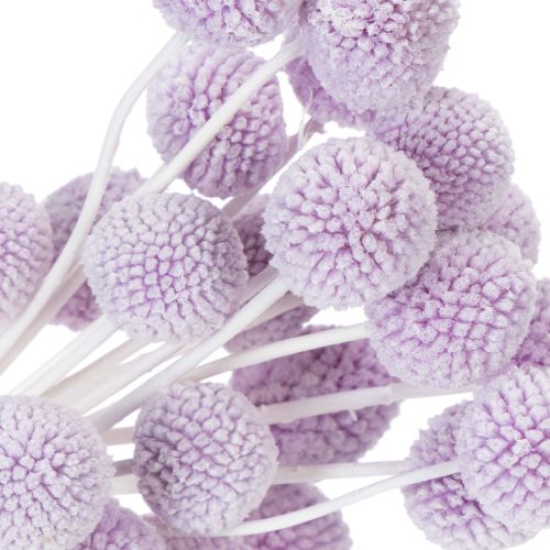 Artikel Craspedia gedroogde bloemen voor moderne tafeldecoratie in huis, 55 cm, 20 stuks