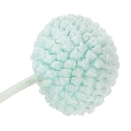 Artikel Gedroogde Craspedia-bloemen, decoratief boeket voor de woonkamer, tafeldecoratie, bruiloft, 55 cm, 20 stuks