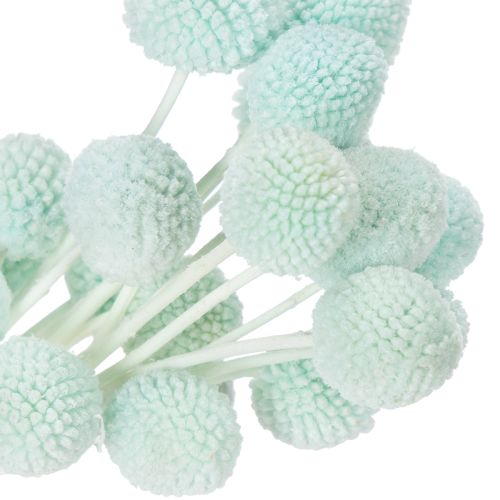 Artikel Gedroogde Craspedia-bloemen, decoratief boeket voor de woonkamer, tafeldecoratie, bruiloft, 55 cm, 20 stuks