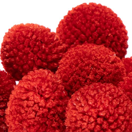 Gedroogde Craspedia-bloemen, geverfd, met lange stelen, 55 cm, 20 stuks | Floristik24.nl