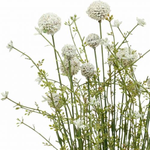 Floristik24 Kunstmatige drumstick witte craspedia bundel droogboeket 3st