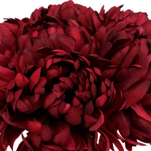 Floristik24 Chrysantenboeket Bordeaux 28cm 6st