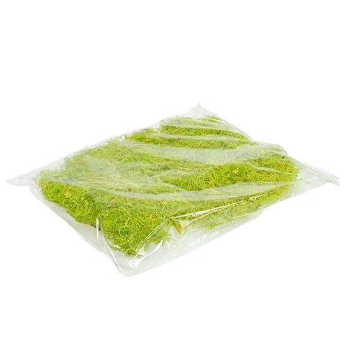 Floristik24 Krullend mos lichtgroen 350g