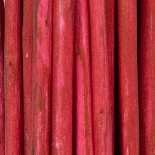 Artikel Gedroogde krulwilgentak voor decoratieve doeleinden, geschikt voor bloemschikken en woonaccessoires, 80 cm, 70 g