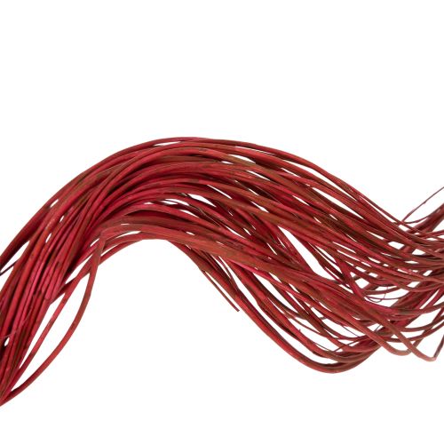 Artikel Gedroogde krulwilgentak voor decoratieve doeleinden, geschikt voor bloemschikken en woonaccessoires, 80 cm, 70 g