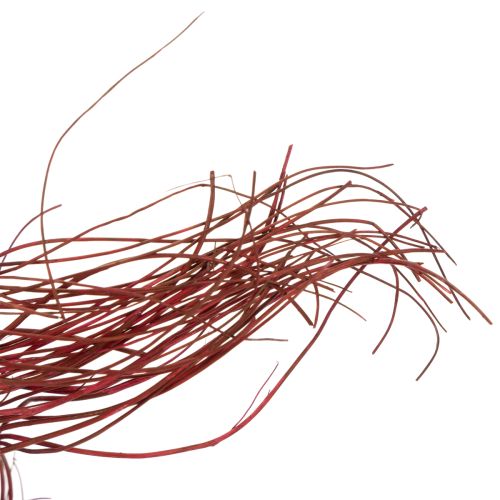 Artikel Gedroogde krulwilgentak voor decoratieve doeleinden, geschikt voor bloemschikken en woonaccessoires, 80 cm, 70 g