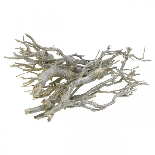 Floristik24 Kerriestruik decoratieve takken, Kerstdecoratie, Advent, natuurlijke decoratie Gouden, gewassen wit L25–30cm 500g