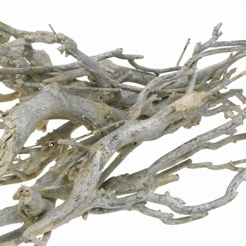 Floristik24 Kerriestruik decoratieve takken, Kerstdecoratie, Advent, natuurlijke decoratie Gouden, gewassen wit L25–30cm 500g