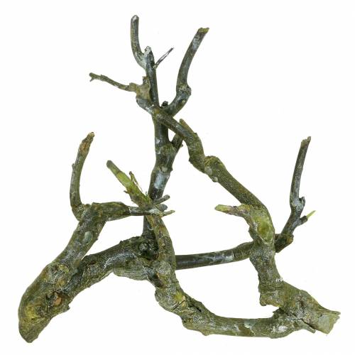 Artikel Deco tak curry bush groen gewassen 500g