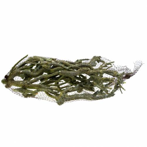 Artikel Deco tak curry bush groen gewassen 500g