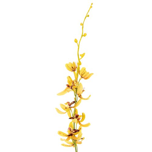 Artikel Kunstmatige Cymbidium-orchidee als bloemstengel voor elegante decoratie, 95 cm, 2 stuks