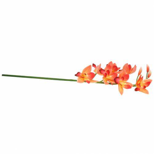Floristik24 Orchidee kunstbloem Cymbidium Oranje 74cm