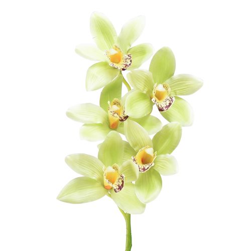 Cymbidium orchidee kunst 5 bloemen groen 65cm
