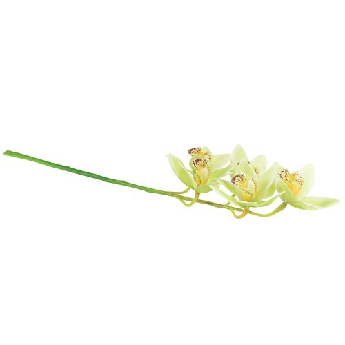 Artikel Cymbidium orchidee kunst 5 bloemen groen 65cm