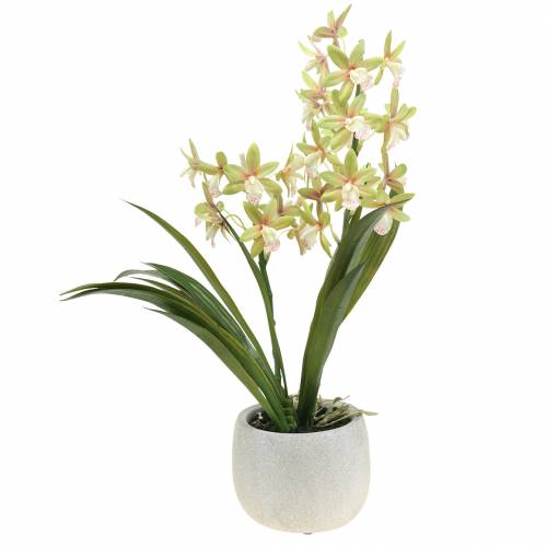 Floristik24 Orchidee Cymbidium Groen in pot Kunst H46cm
