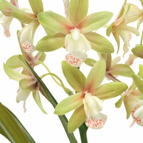 Artikel Orchidee Cymbidium Groen in pot Kunst H46cm