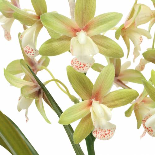 Floristik24 Orchidee Cymbidium Groen in pot Kunst H46cm