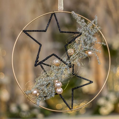 Floristik24 DIY doos raamdecoratie Kerst zwart gouddraad Ø30cm