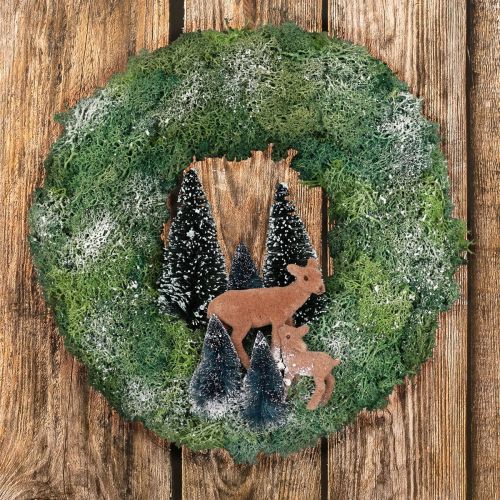 Floristik24 DIY doos moskrans winter bosdeurkrans Kerst Ø34cm